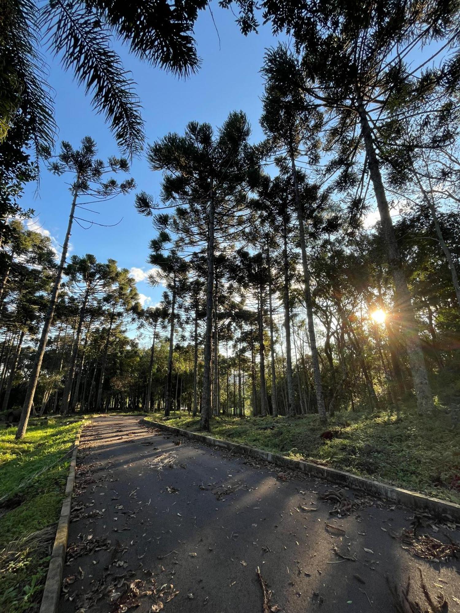 Ville Del Bosco Hotel São Marcos Esterno foto
